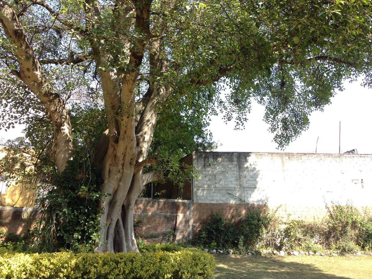 Hospedaje Ornelas Otel Tepoztlán Dış mekan fotoğraf